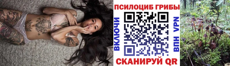 Псилоцибиновые грибы GOLDEN TEACHER  Ахтубинск 